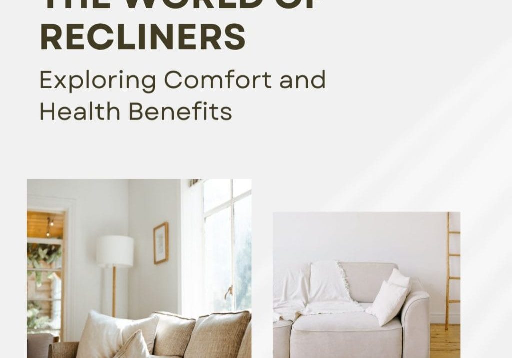 World of Recliners Exploring Comfort and Health